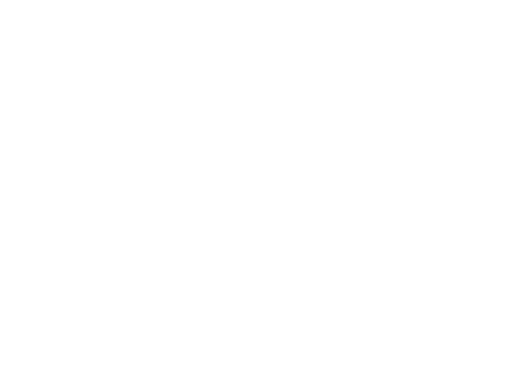 Bridgewater Butchers